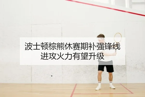 波士顿棕熊休赛期补强锋线 进攻火力有望升级